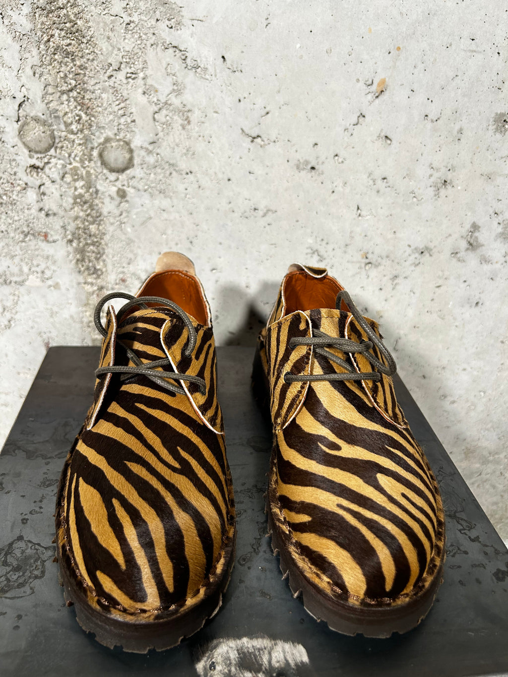 Zapato de cordones estampado tigre Bardasú