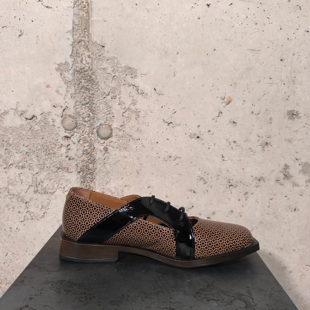 Zapato de cordones cuero y negro Nemonic